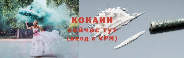 твердый Осташков